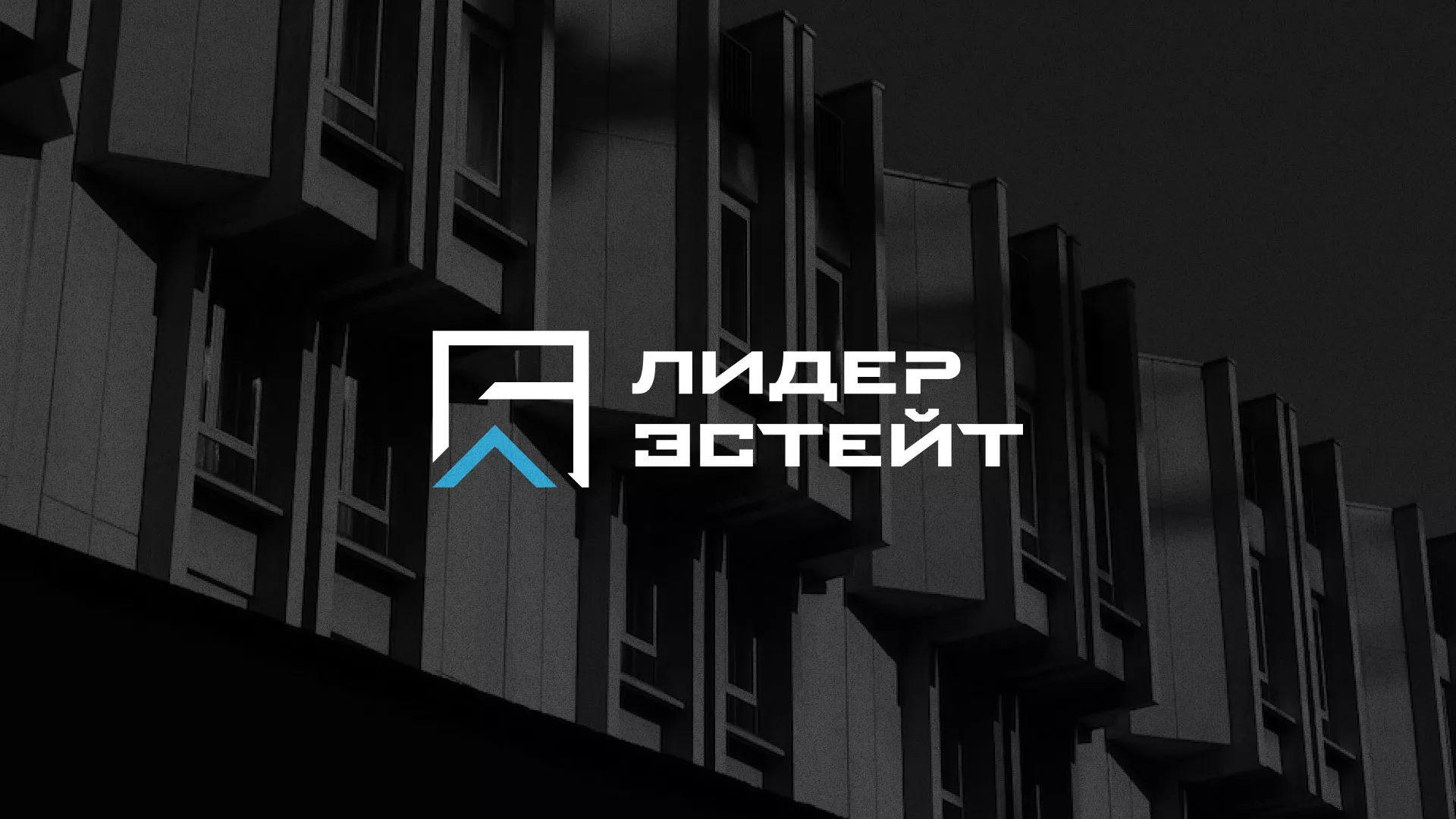 Разработка логотипа агентства недвижимости «Лидер Эстейт» в Рузе